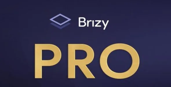 Brizy Pro