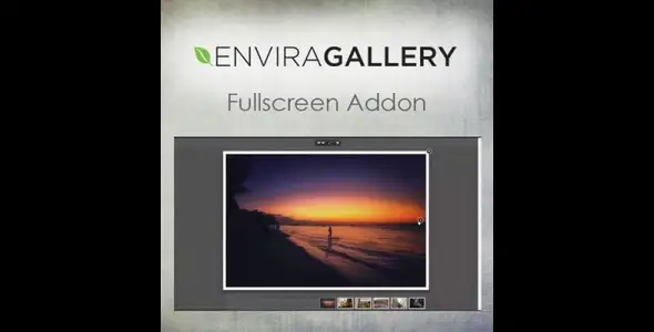 Envira Gallery – Fullscreen Addon