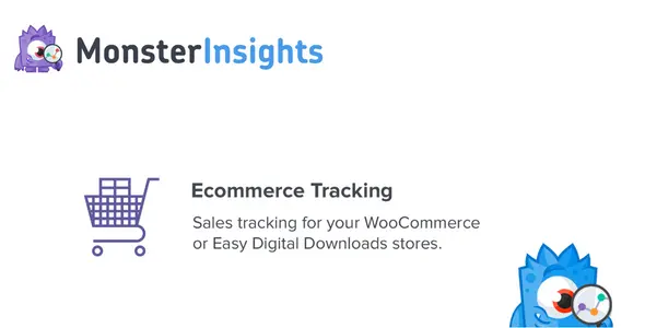 MonsterInsights – eCommerce Addon